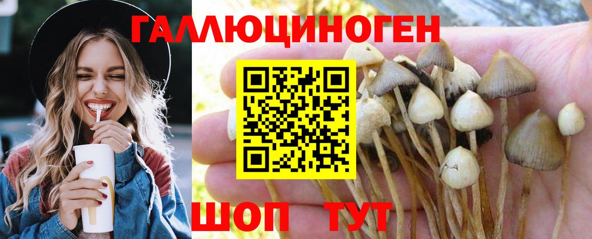 Воронеж  Галлюциногенные грибы мицелий  Вход с VPN 